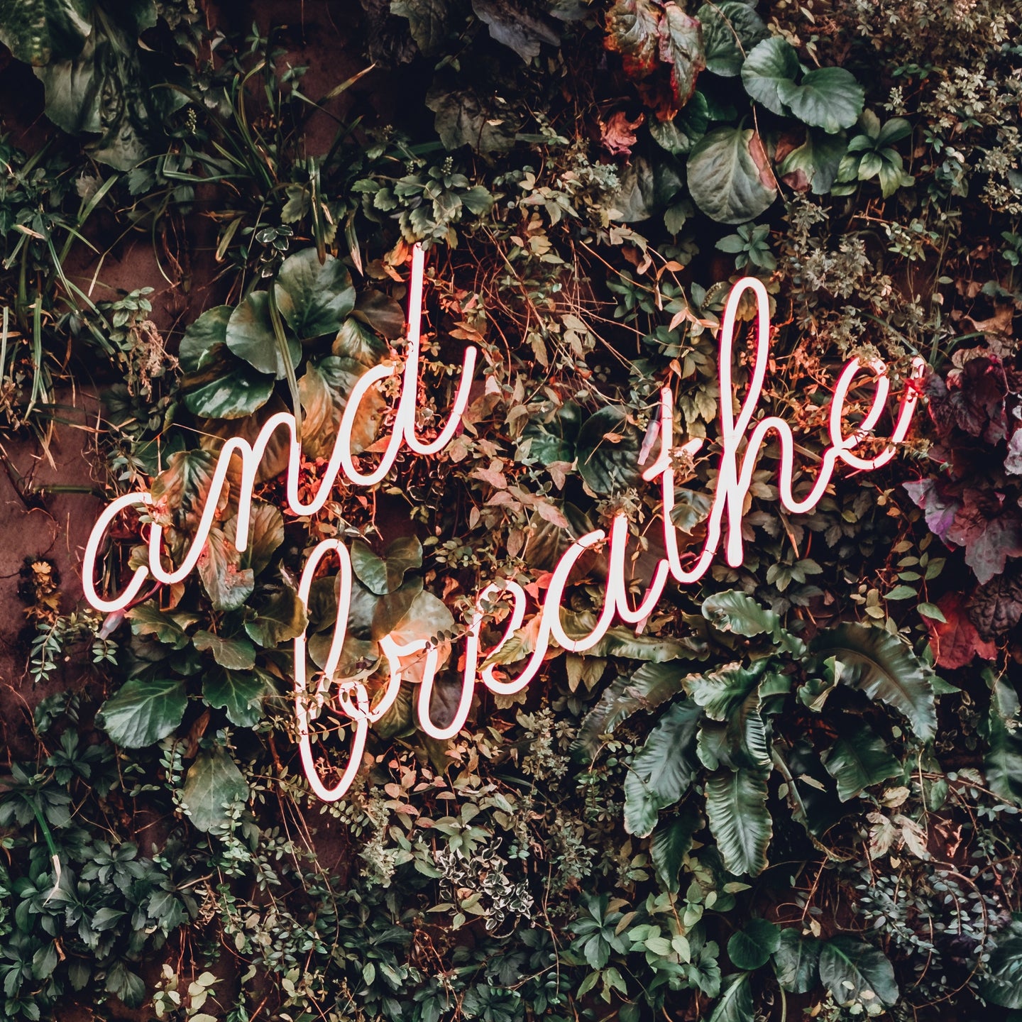 'And Breathe' Neon Light